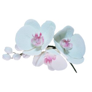 Gałązka Orchidei Białej Kwiat Na Tort Weselny Urodzinowy