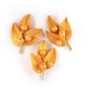 Gałązka Z Liśćmi Magnolii Złotej Kwiaty Na Tort Weselny