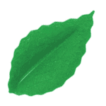 Liście dekoracje waflowe zielone listki 30 szt