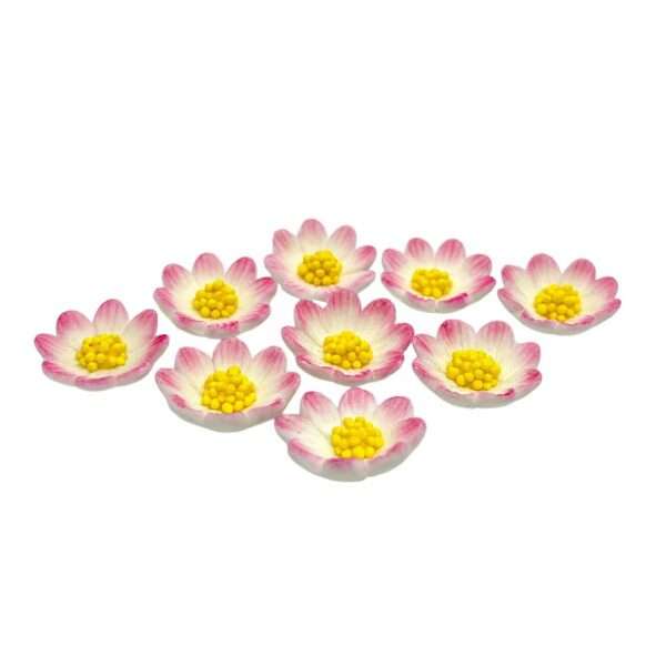 Kwiaty cukrowe Stokrotka margaretka zestaw 9 szt biało-różowa